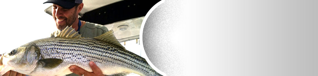 Striped Bass Charters - FishIBX Eastern NC Fishing Guide