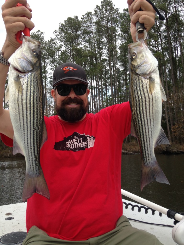 Pamlico River Rockfish - Eastern NC Fishing Guide