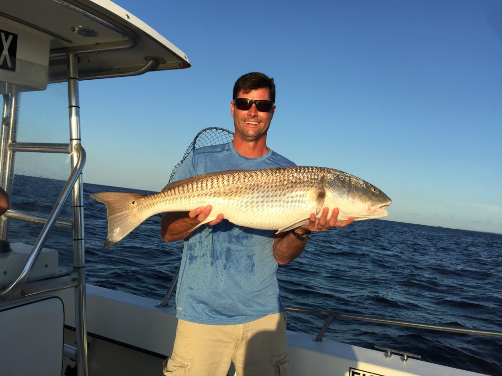 Red Drum Variety - Eastern NC Fishing Guide