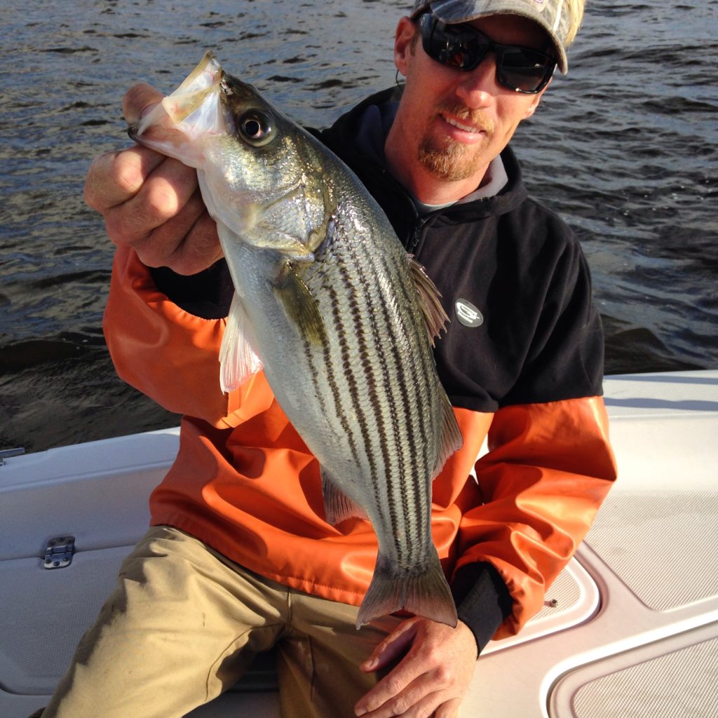 Pamlico River Striper Fishing - Eastern NC Fishing Guide