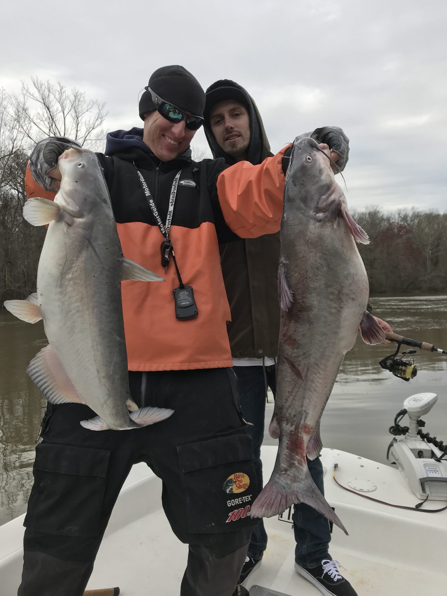 Roanoke River Blues, Blue Catfish - FishIBX Eastern NC Fishing Guide