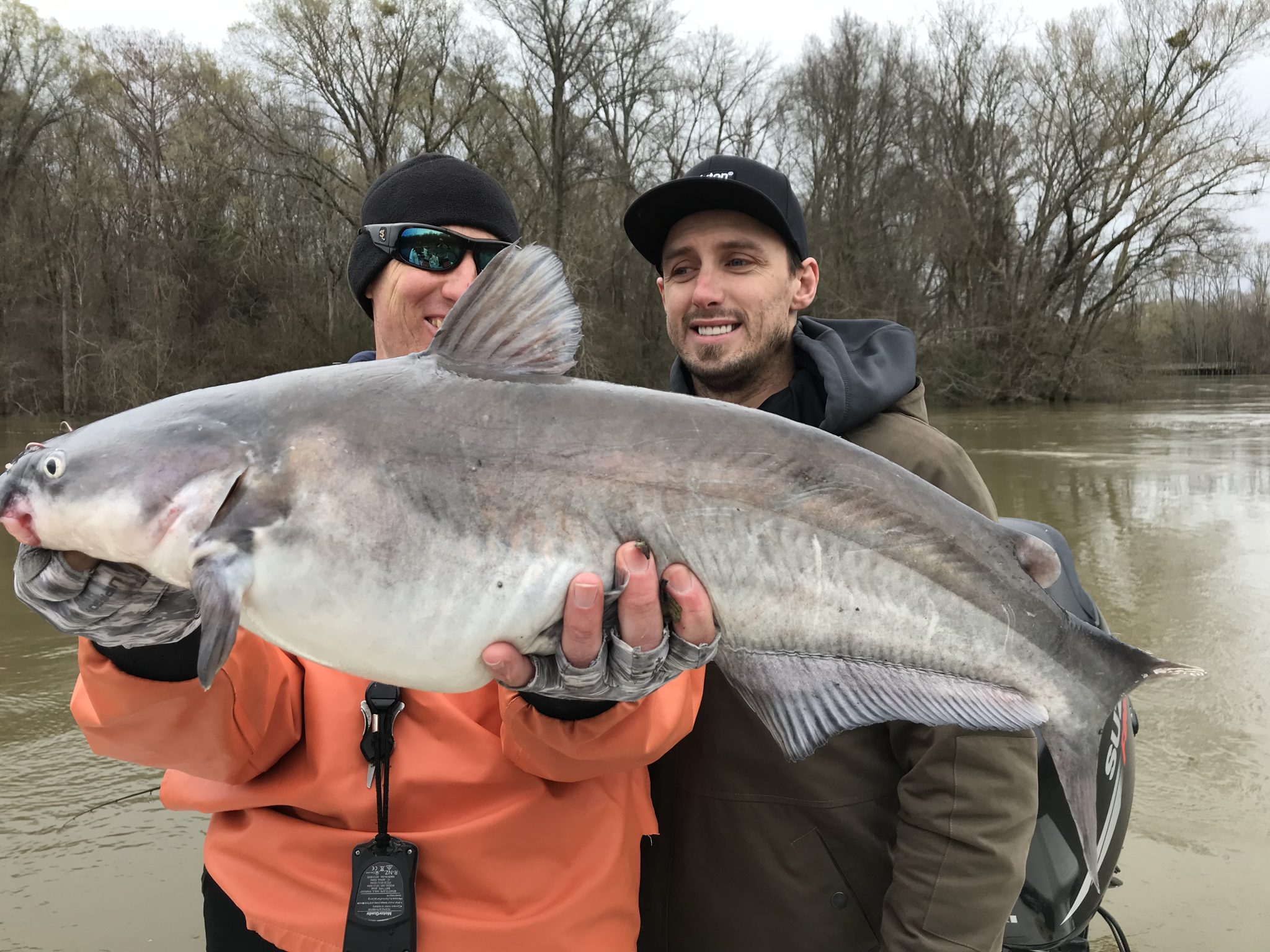 Roanoke River Blues, Blue Catfish - Eastern NC Fishing Guide