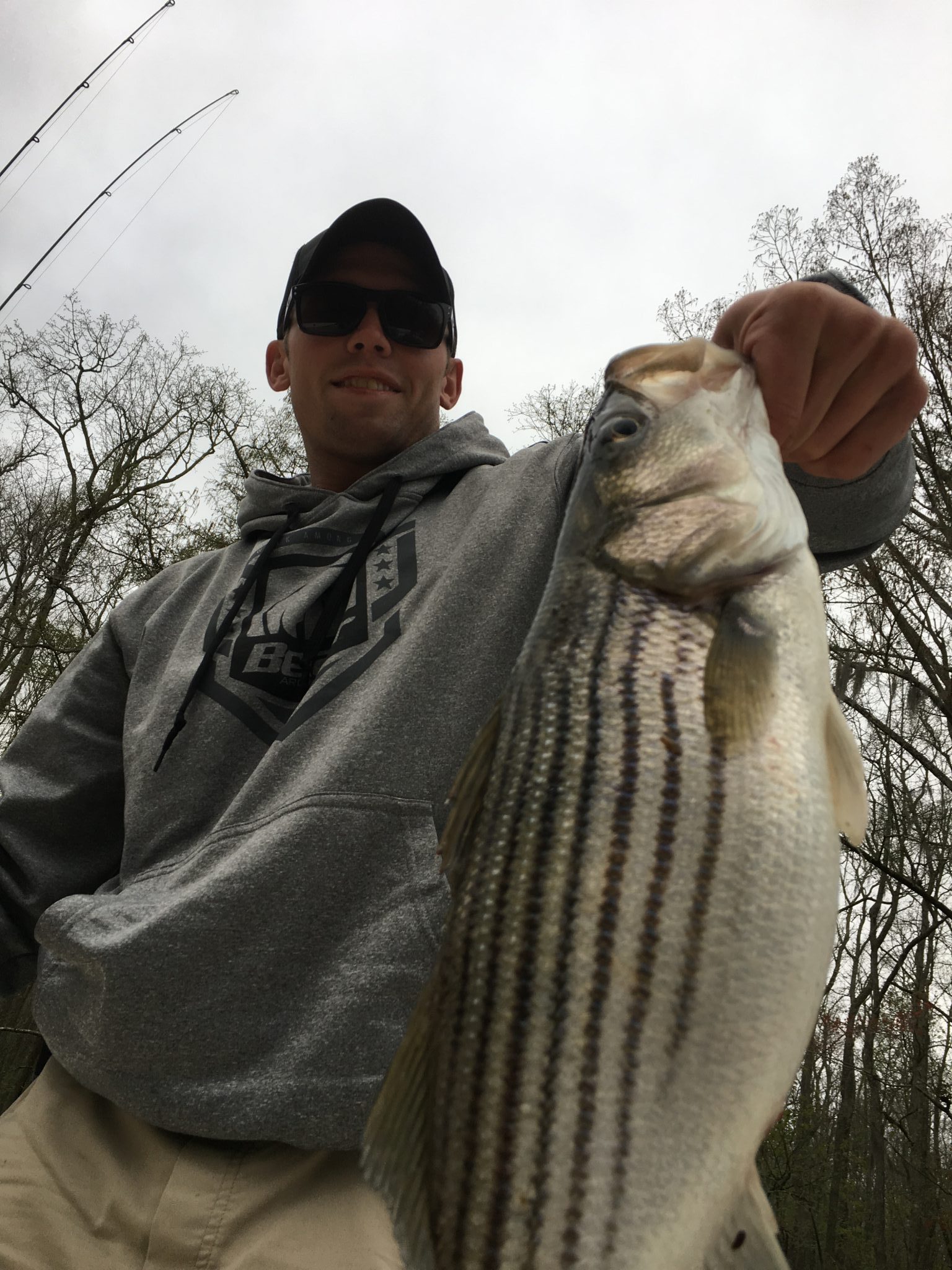 NC Striped Bass, Rockfish Guide, Roanoke River Eastern NC Fishing Guide