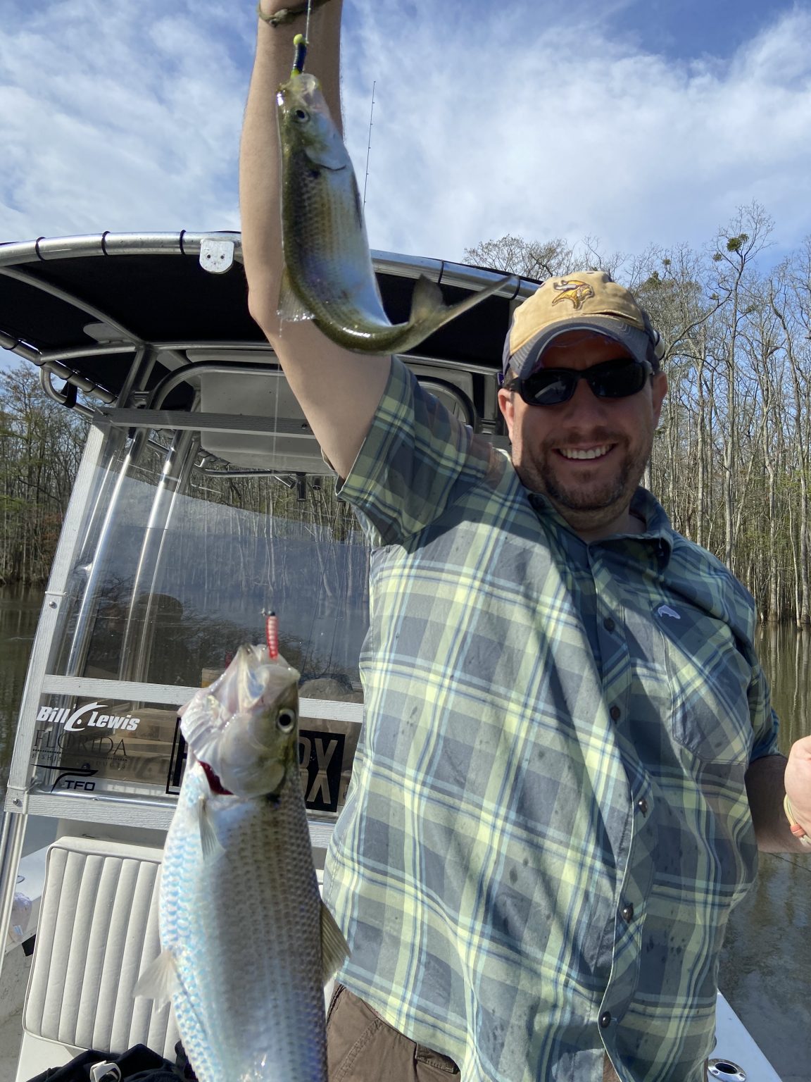Roanoke River Shad Fishing - FishIBX Eastern NC Fishing Guide