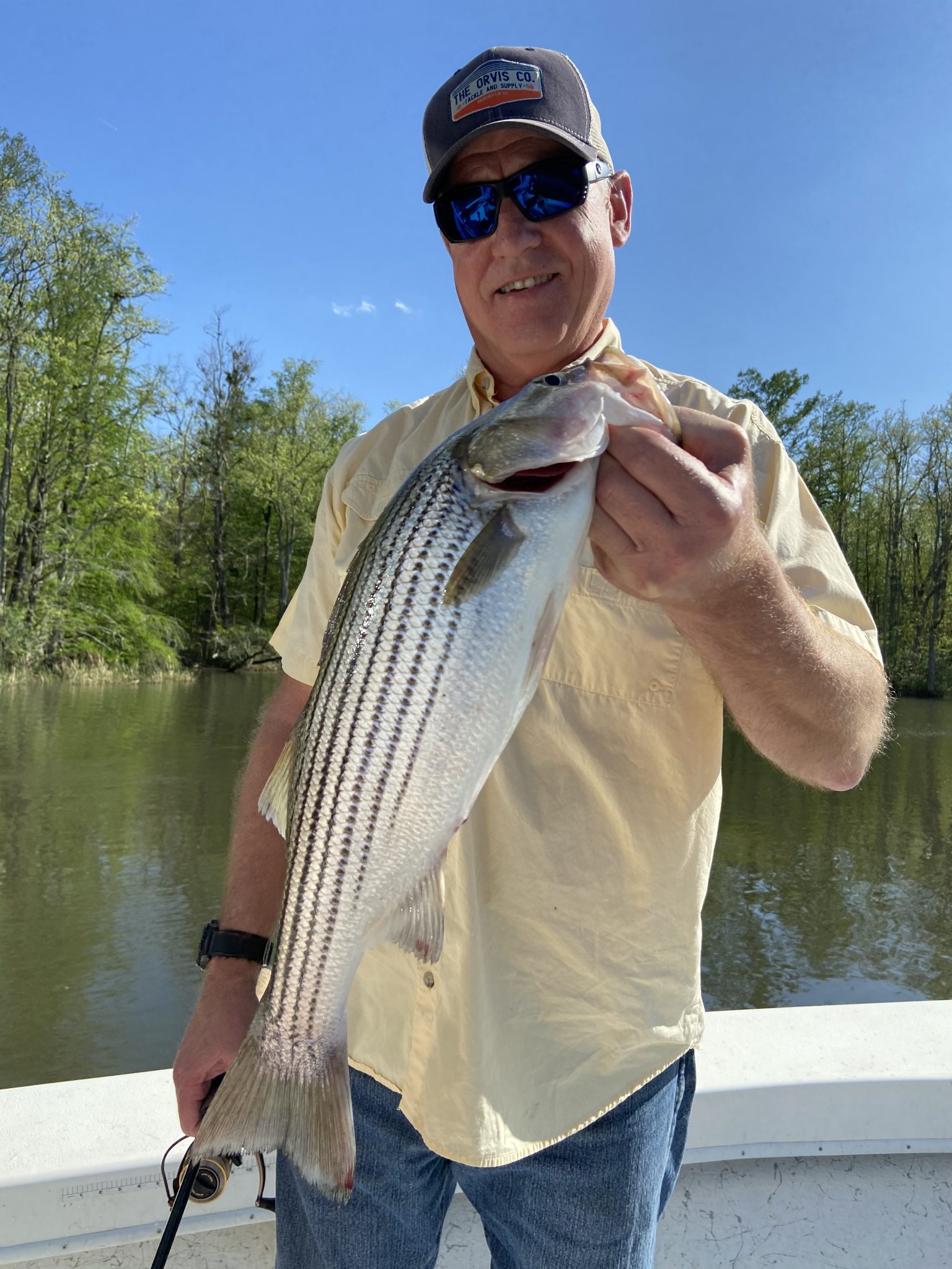 Roanoke River Striped Bass Season FishIBX Eastern NC